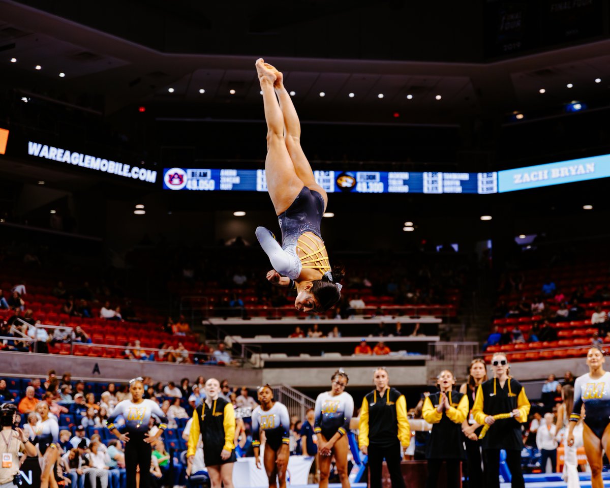 MizzouGym's tweet photo. Some of the best snapshots from our historic W 📸

#MIZ🐯 https://t.co/ZLRqkggojy