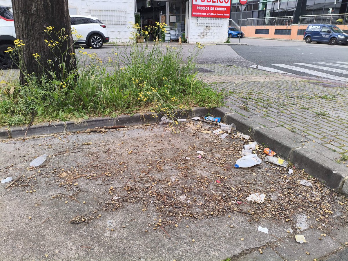 erjusticierodelsur (@jozeluisanz) tweet media