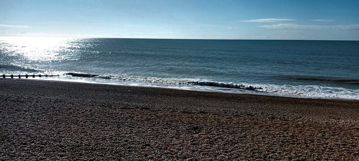 Big Green Bookshop tweet media