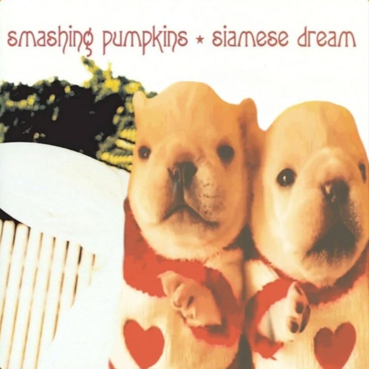 dandemonium⁷ VERÁ A BTS tweet media