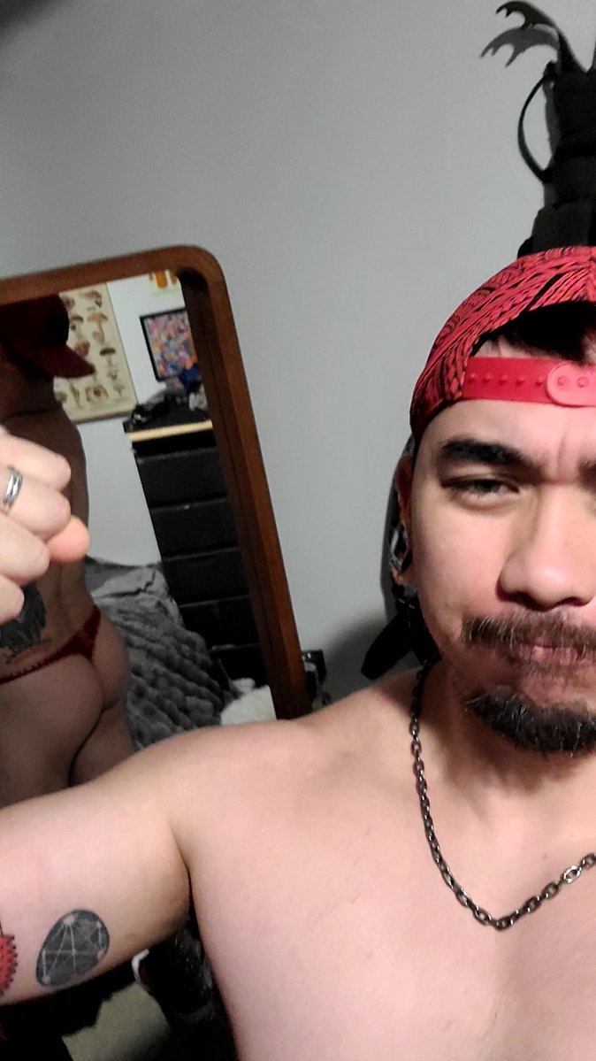 Chestnutbulk tweet media