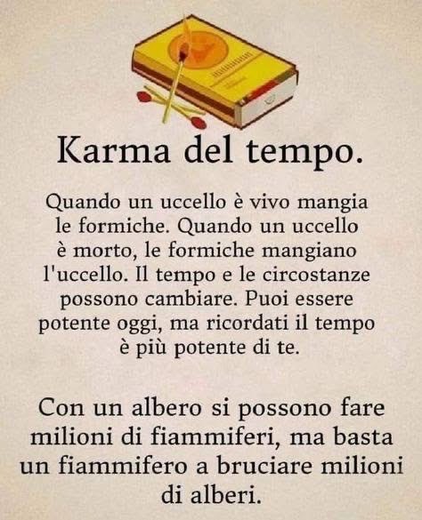 annamariamoscar's tweet image. 