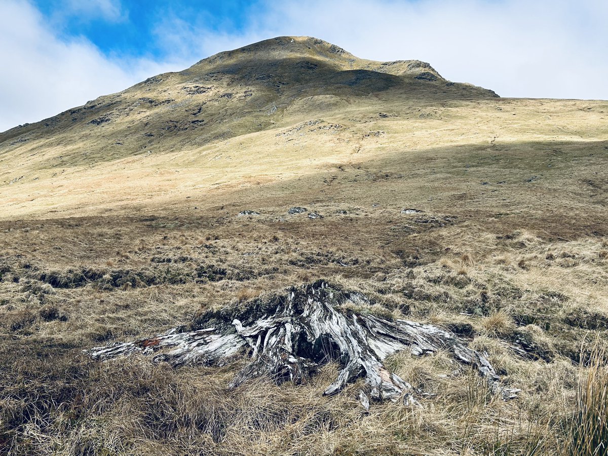 Iain Cameron tweet media