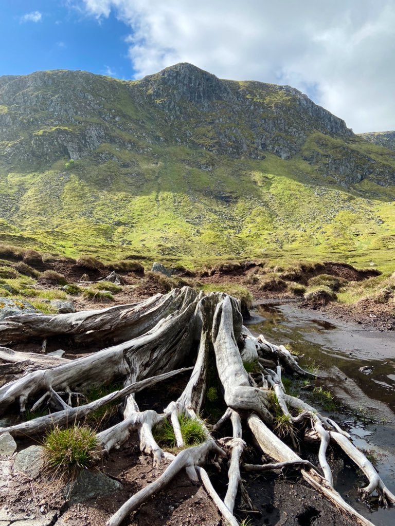 Iain Cameron tweet media