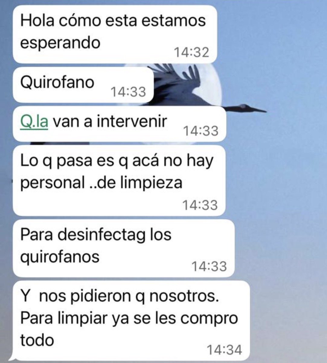 Fabricio Vela tweet media