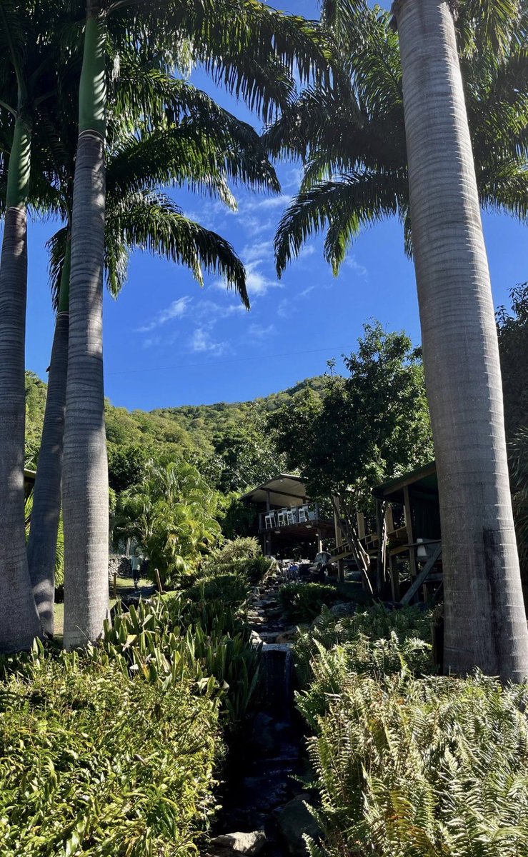 tell me i aint lowk amazin at takin photos that rainbow shot elite😭😭😭