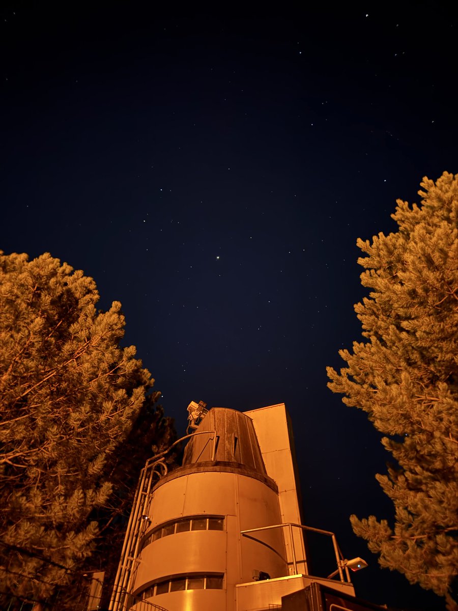 carter 🎢👻 tweet media