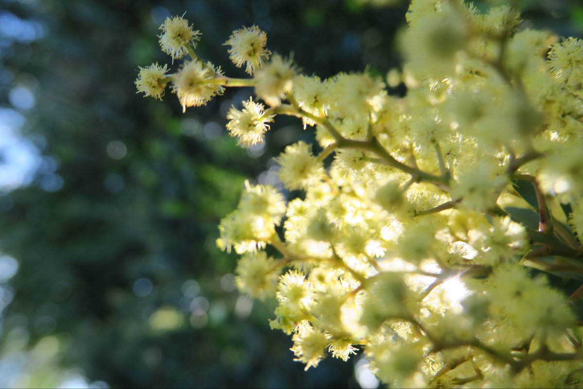 Fi Photos tweet media