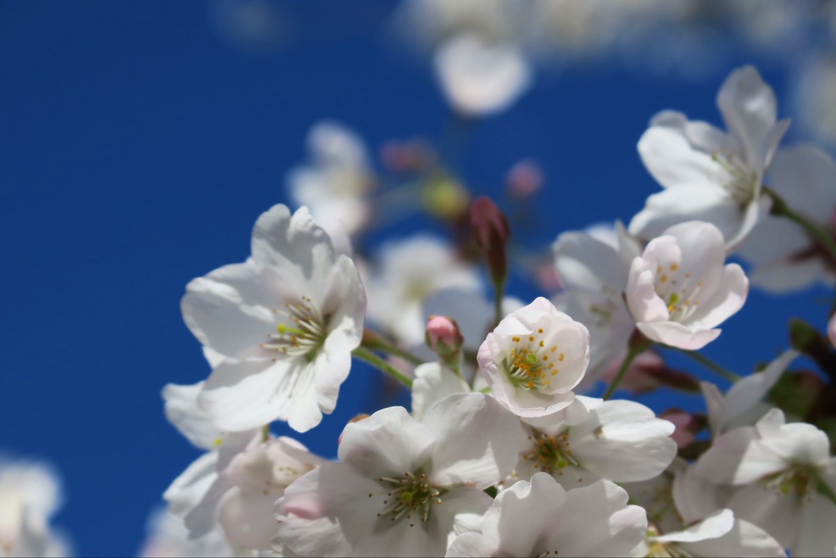 Fi Photos tweet media