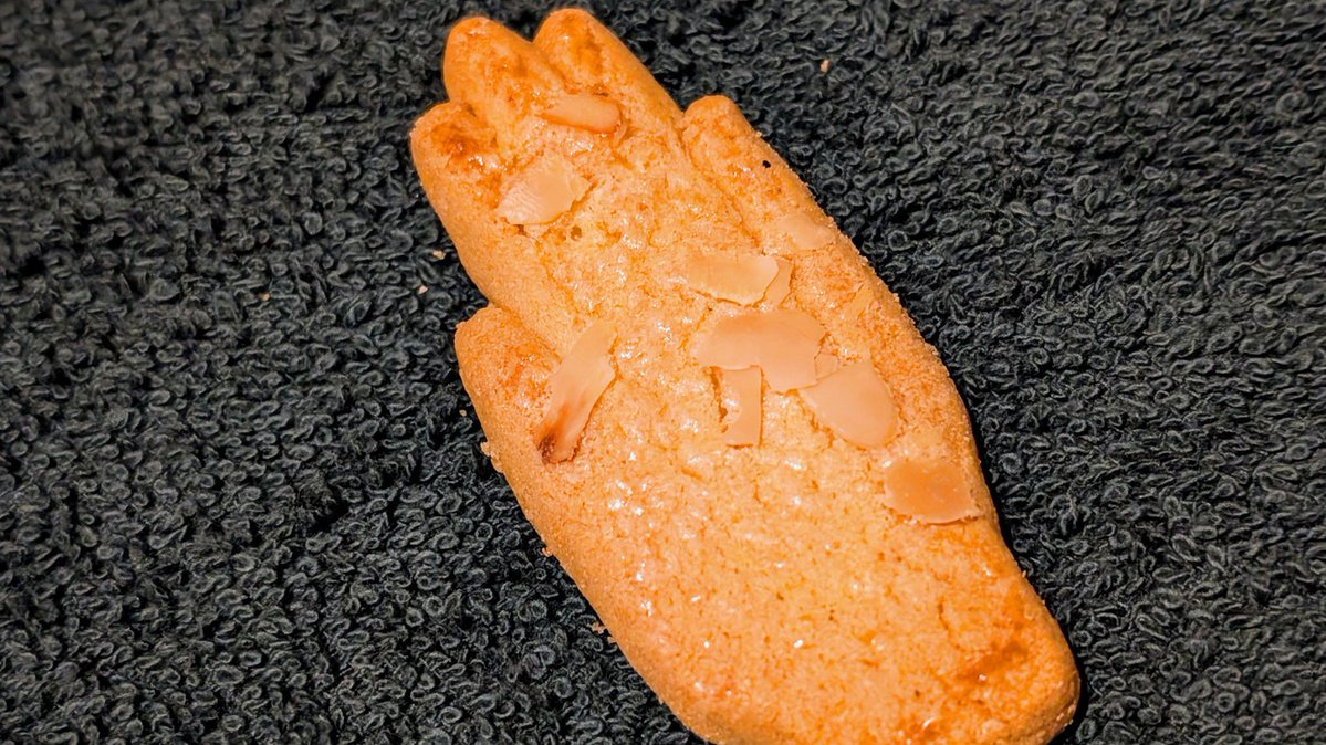 @formation3_0 tweet media