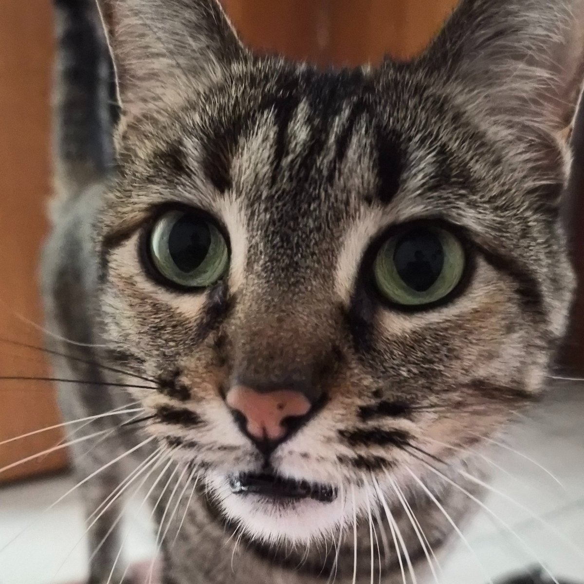 lysergicAcid tweet media