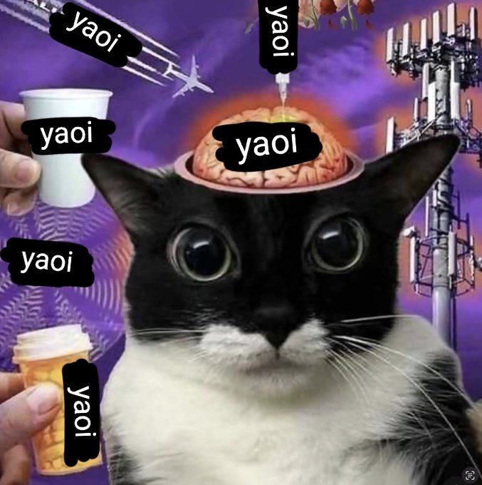 karen novia de ale tweet media