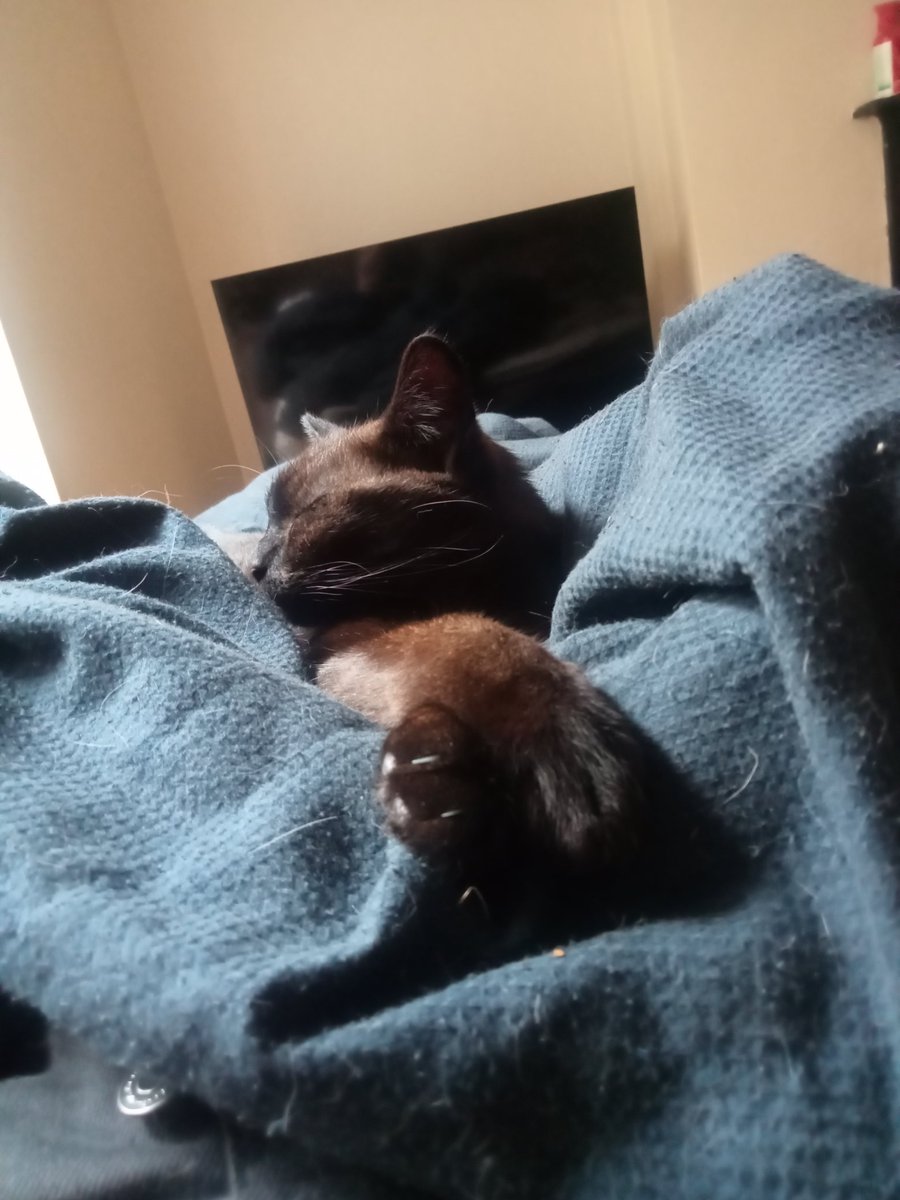 Spriggachu 🦀 tweet media