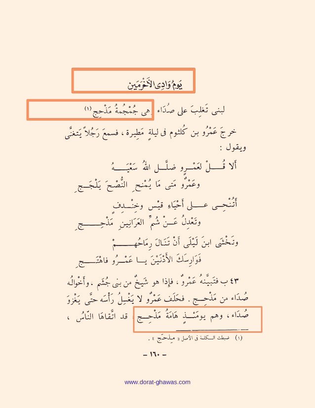 رابطة الضيــاغم الرسمية tweet media