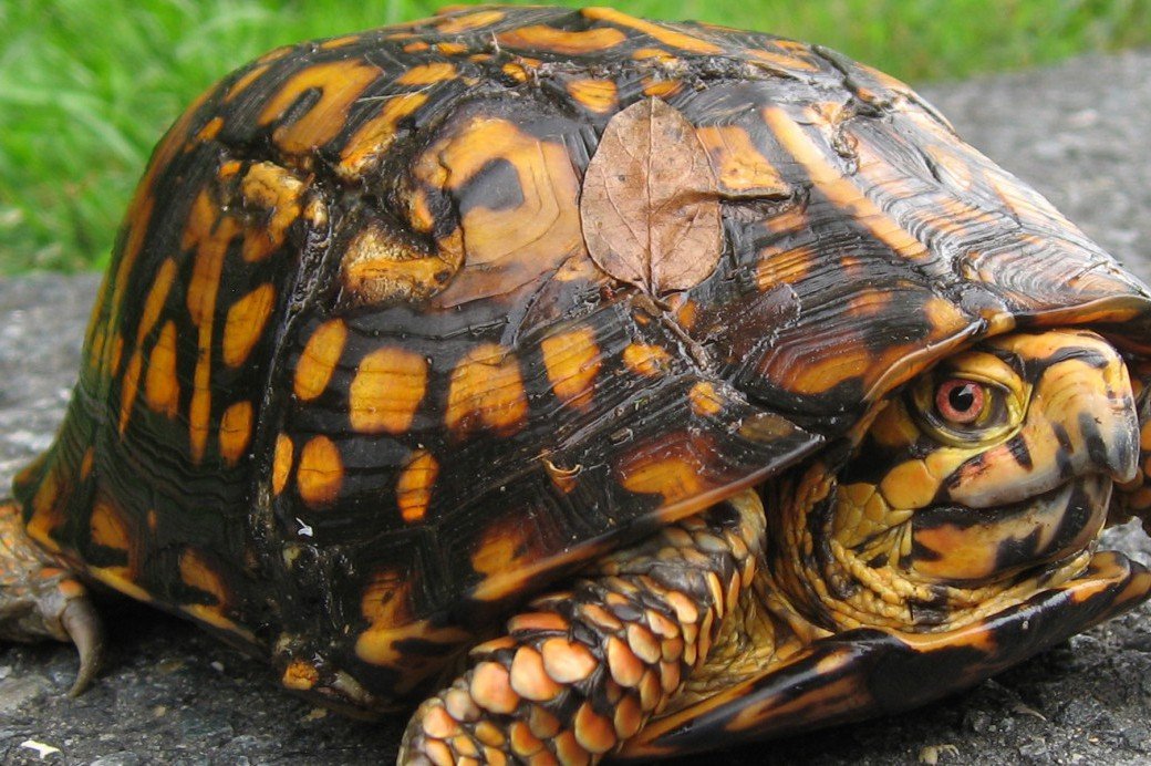 Everything_guy tweet media