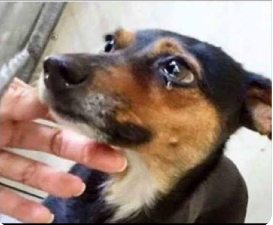 "İncitme! İncittiğin yerden incinirsin.."
Mevlana
#Geceye