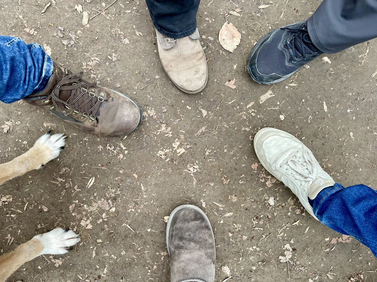 Bri ⚡️ tweet media