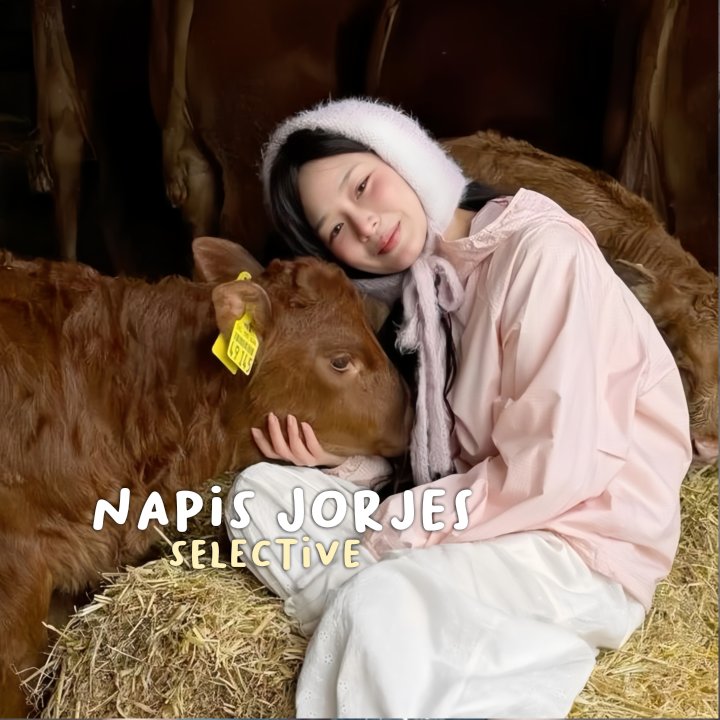 cici napis 🐄 jorjes🎐 tweet media