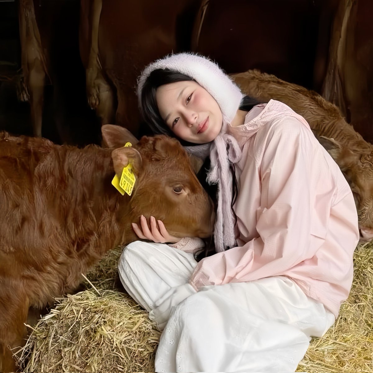 cici napis 🐄 jorjes🎐 tweet media