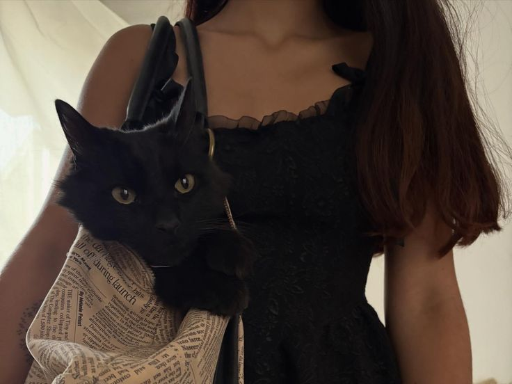 ⋅ꫂ ၴႅၴ. (@theholykiss) on Twitter photo 