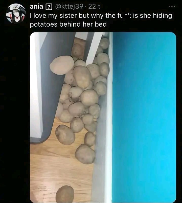 Miyamoto ⸻ Musashi ♡ tweet media