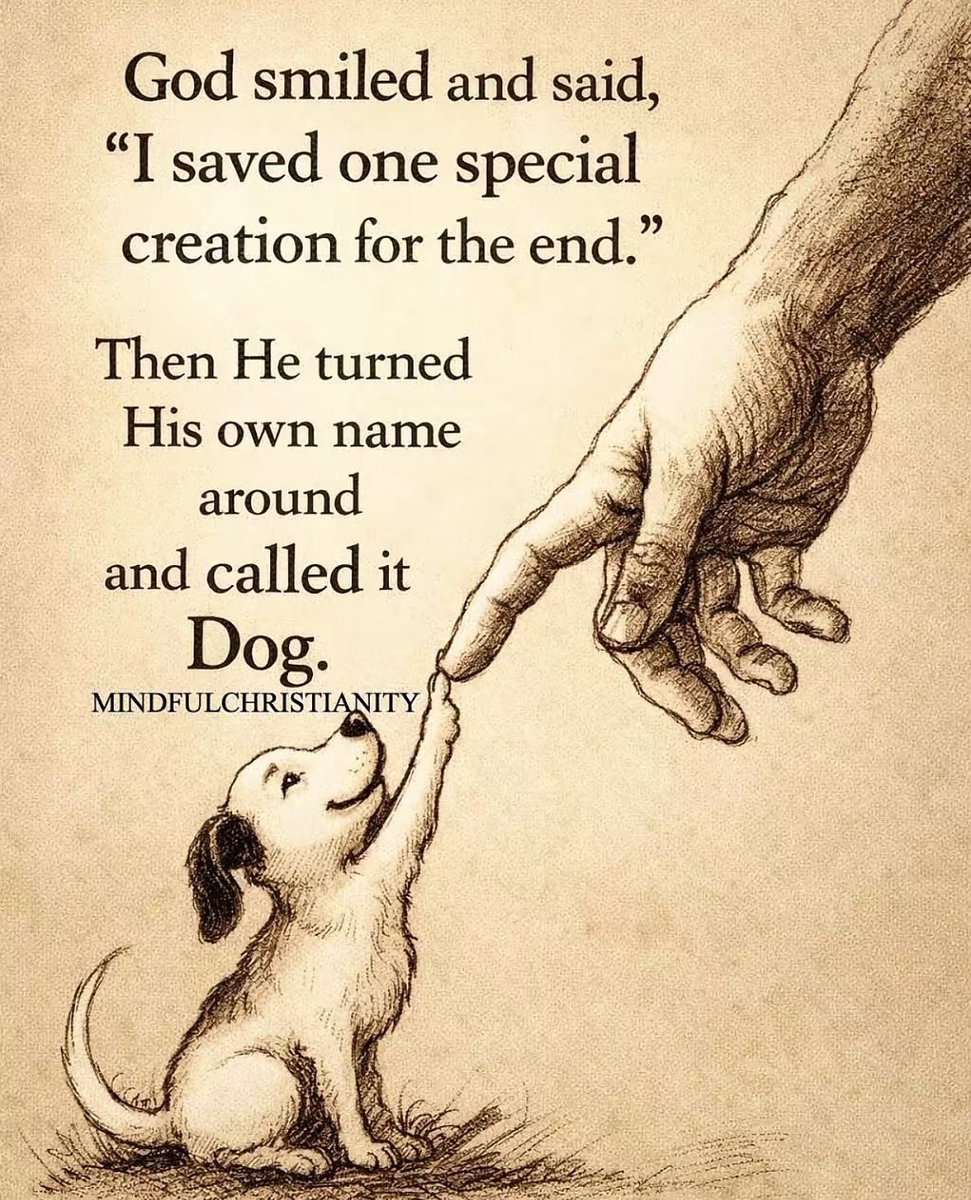 Farm Girl Carrie 👩‍🌾 tweet media