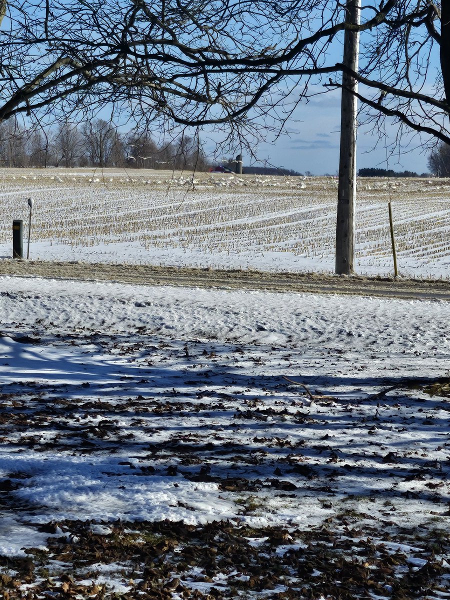 Cathy Dibble tweet media