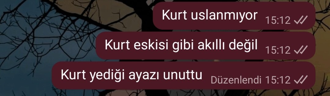 yasecee's tweet photo. Kurt retro ile başa çıkamıyor https://t.co/bZnNd5SQkA