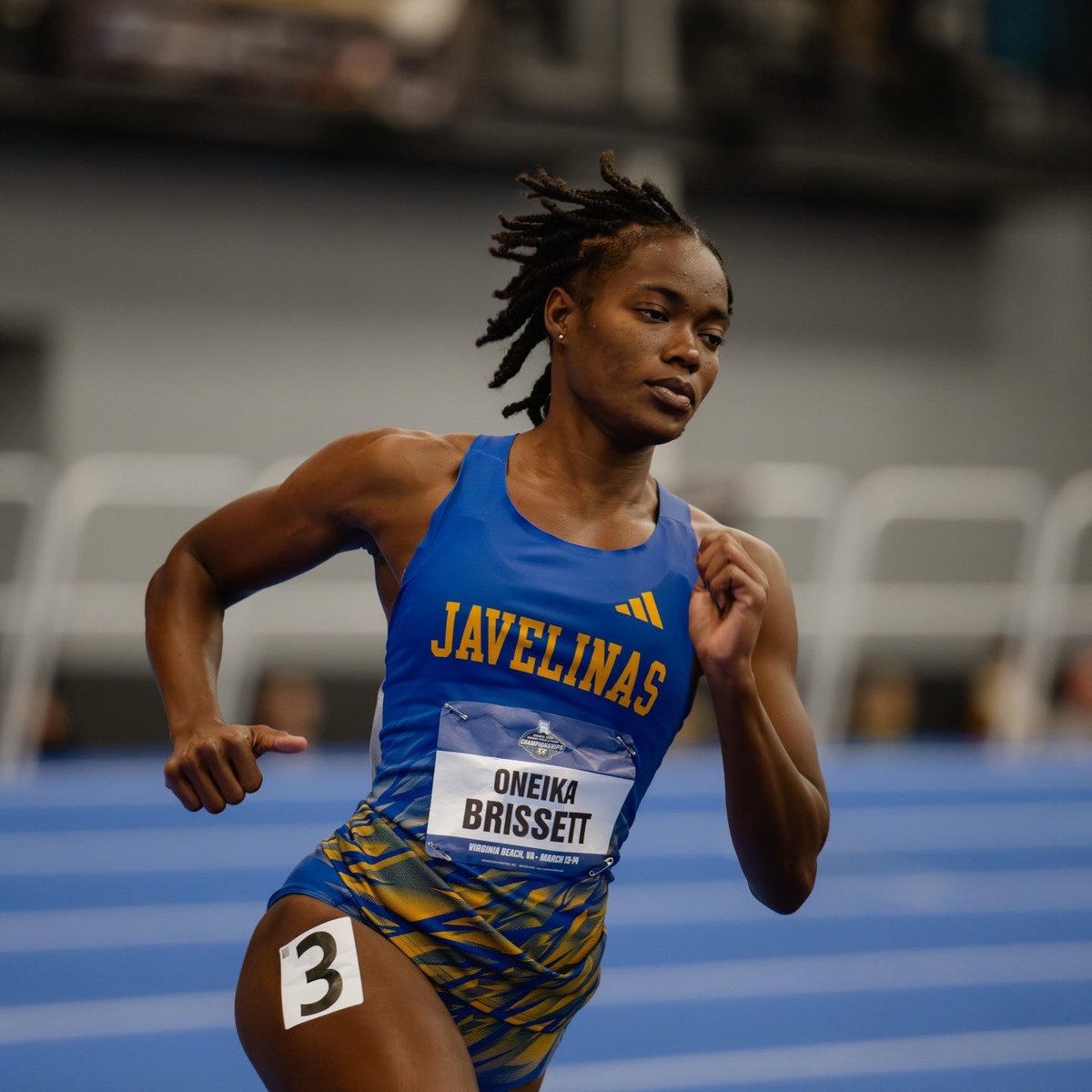 Javelina TFXC tweet media