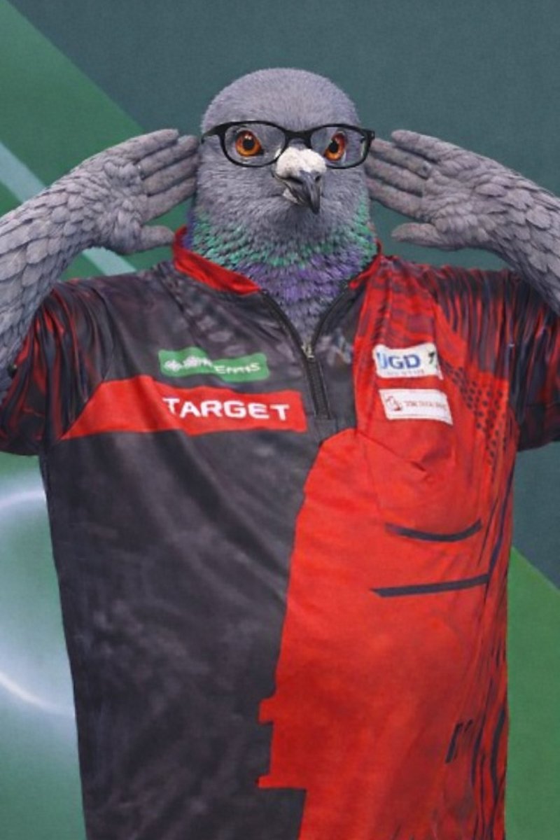 Todd Tootinheimer tweet media