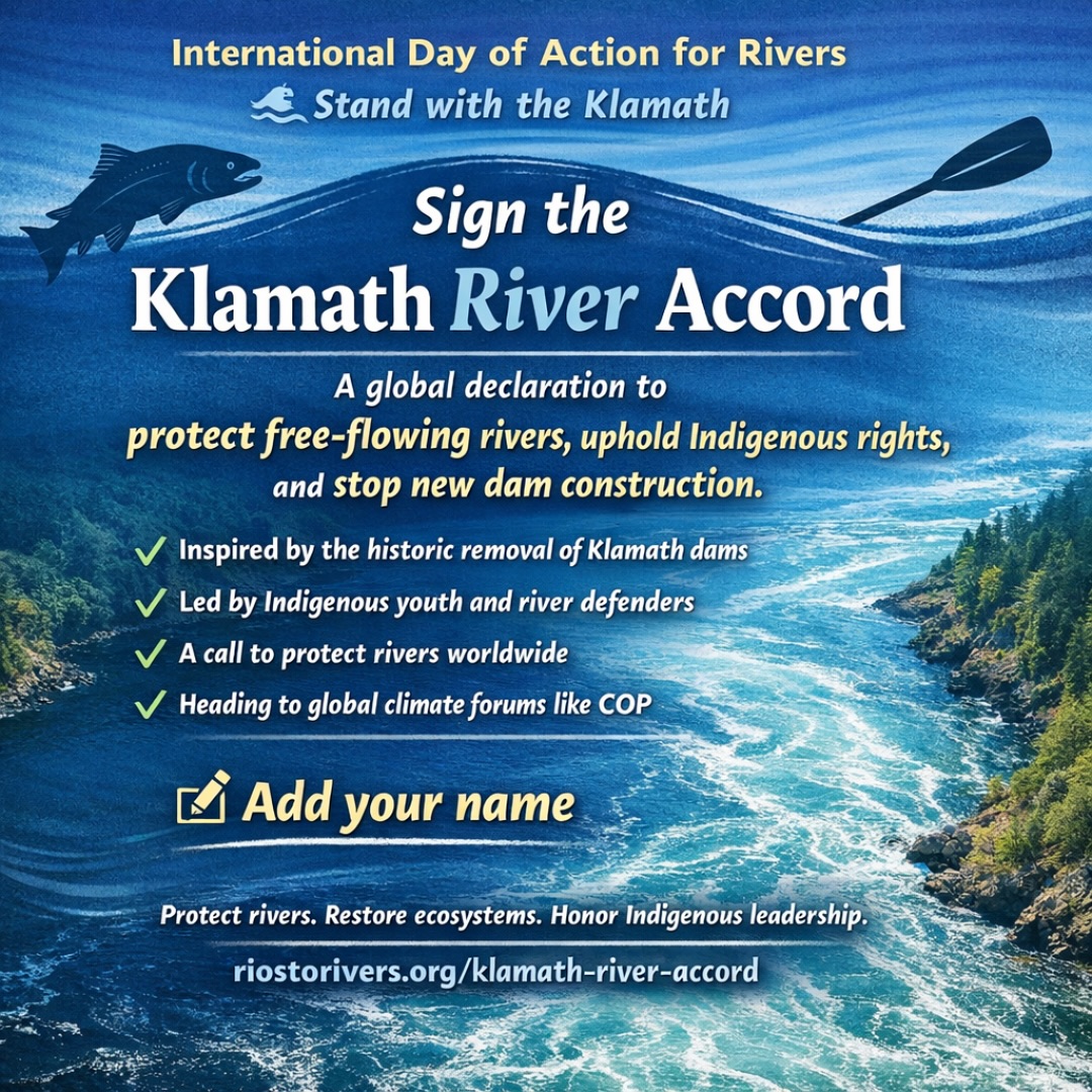 Save The World's Rivers! tweet media