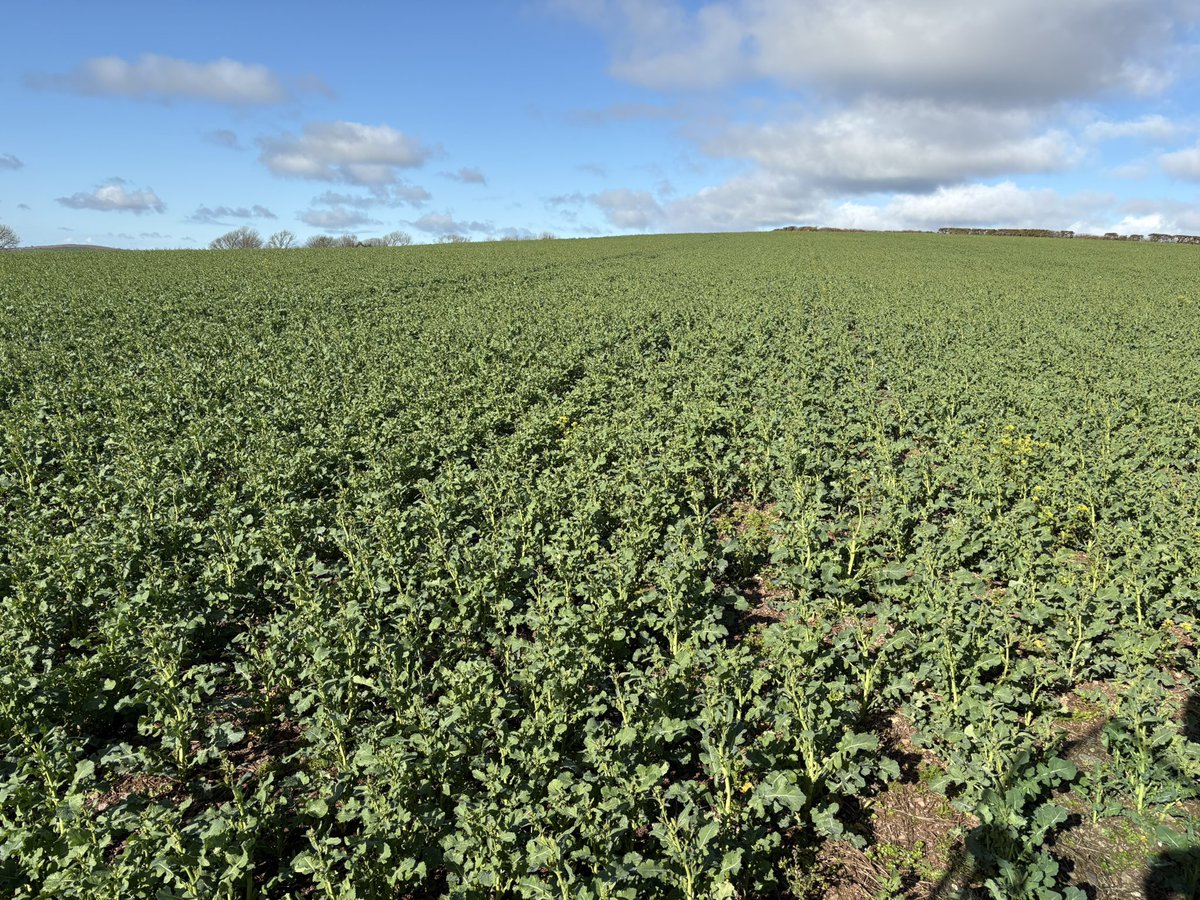 John Dunne tweet media