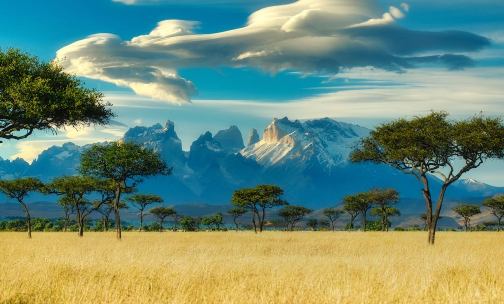 Western banks and institutions restrict fossil fuel financing in Africa while still relying on those fuels at home. Africa doesn’t need pity or half-measures. It needs energy sovereignty and the same growth path that lifted billions elsewhere. cornwallalliance.org/green-ideology…