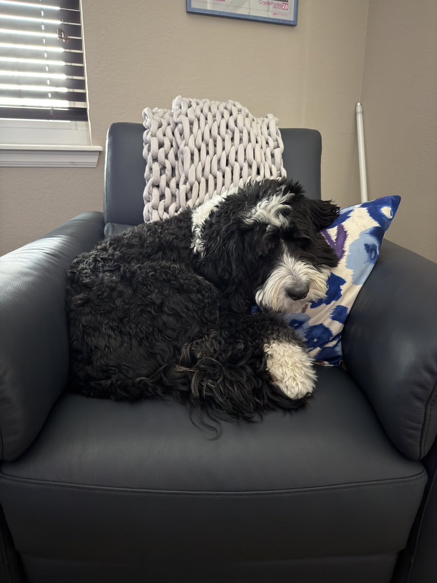 icculus ( τ, 🔗) tweet media