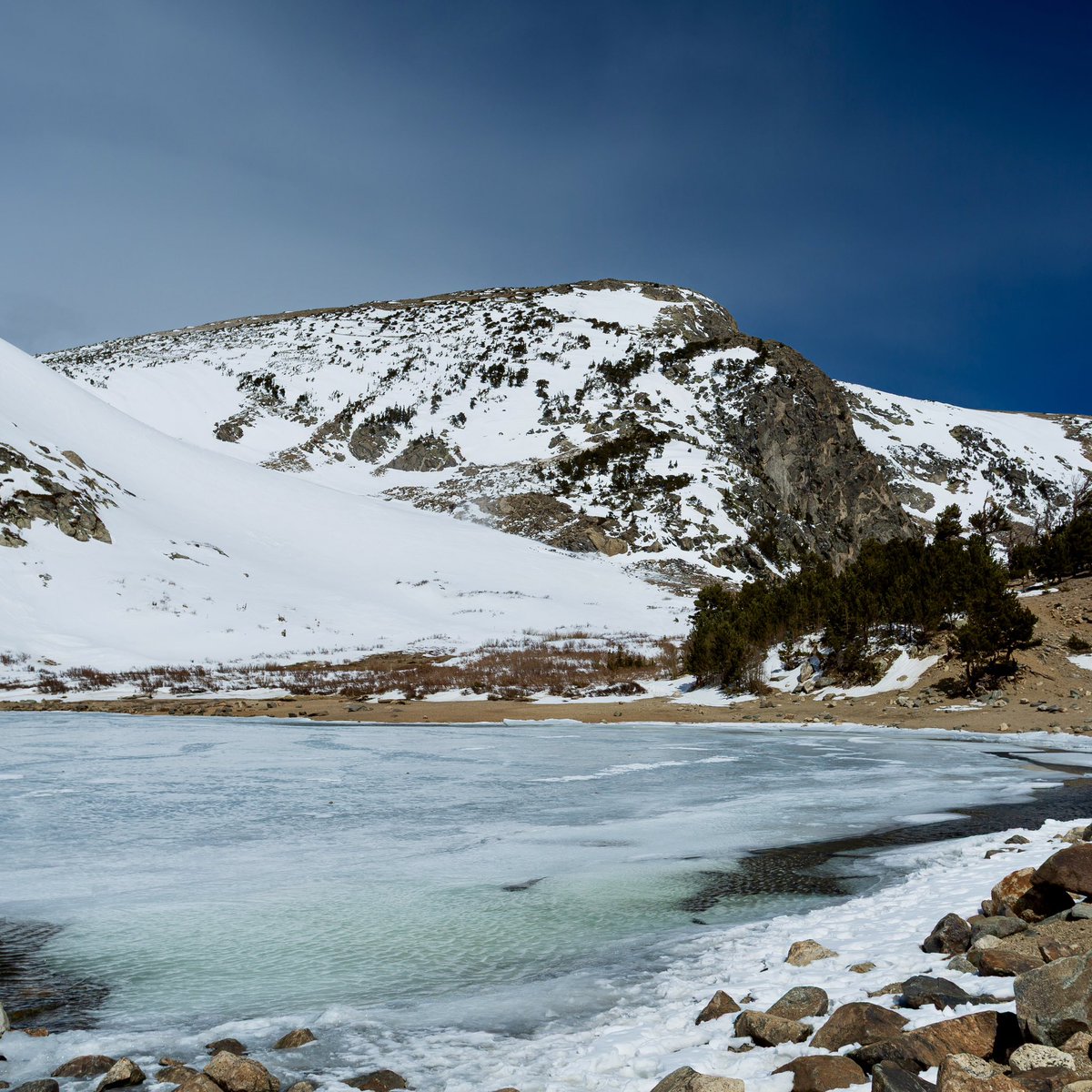 Andrew Bissonnette tweet media