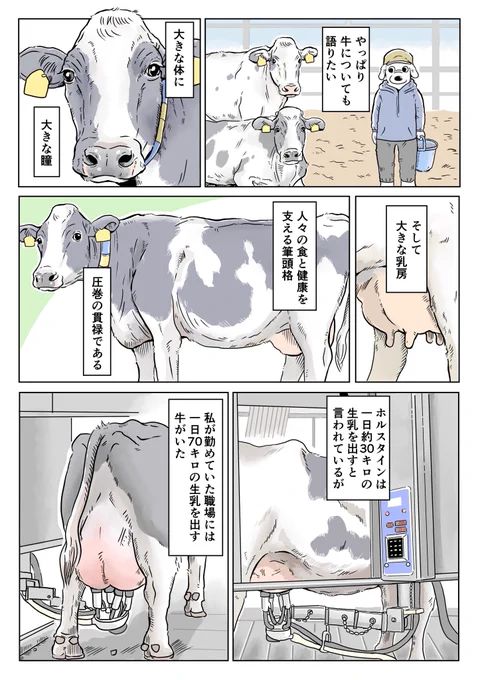 牛と牛乳🥛🐮 (2/3)
#PR #週刊土日ミルク 