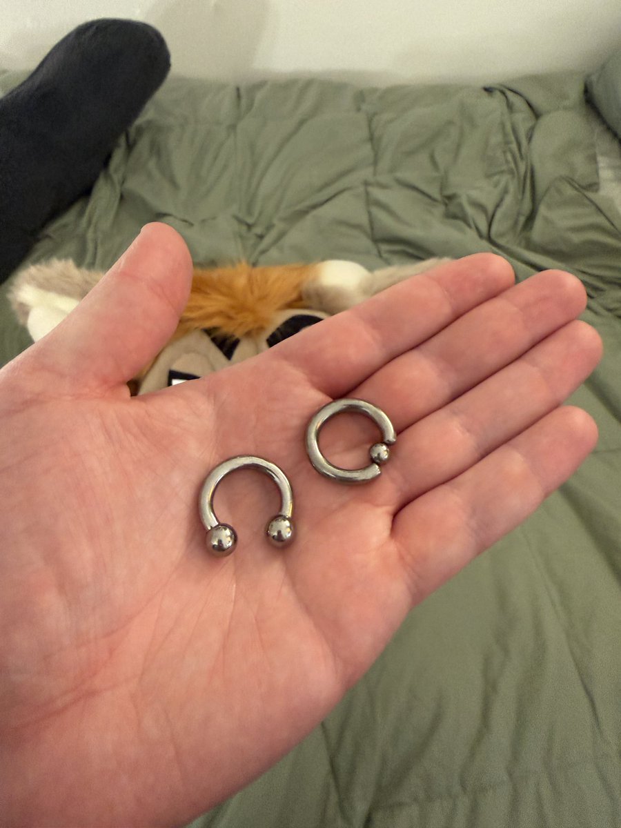 Sam the Ram 🐏 tweet media