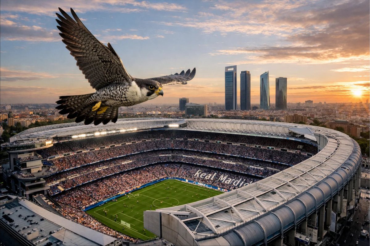 Fran Mateos tweet media