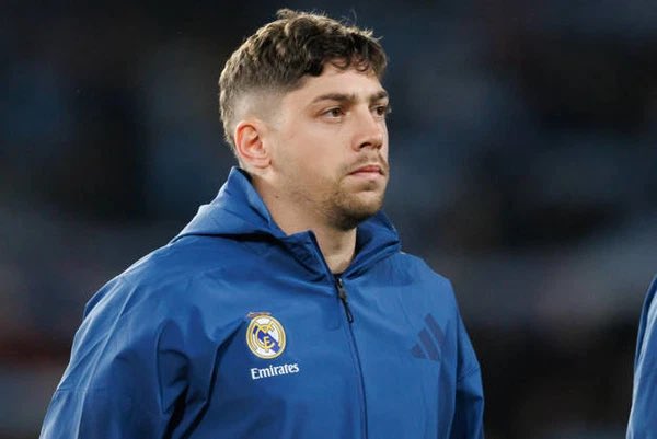 محمود tweet media