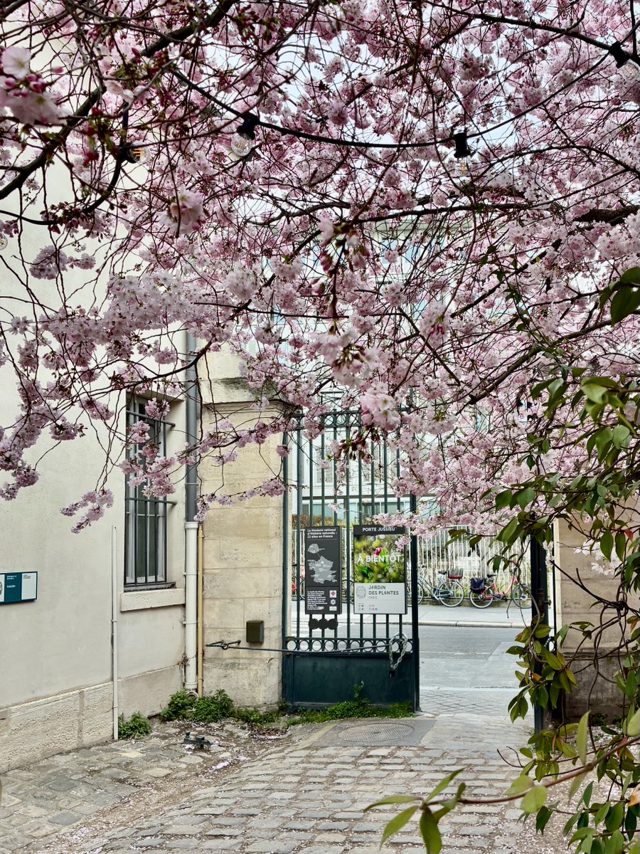 Brigitte Fleurot tweet media