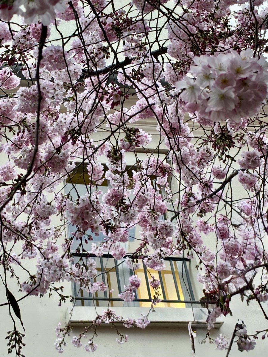 Brigitte Fleurot tweet media