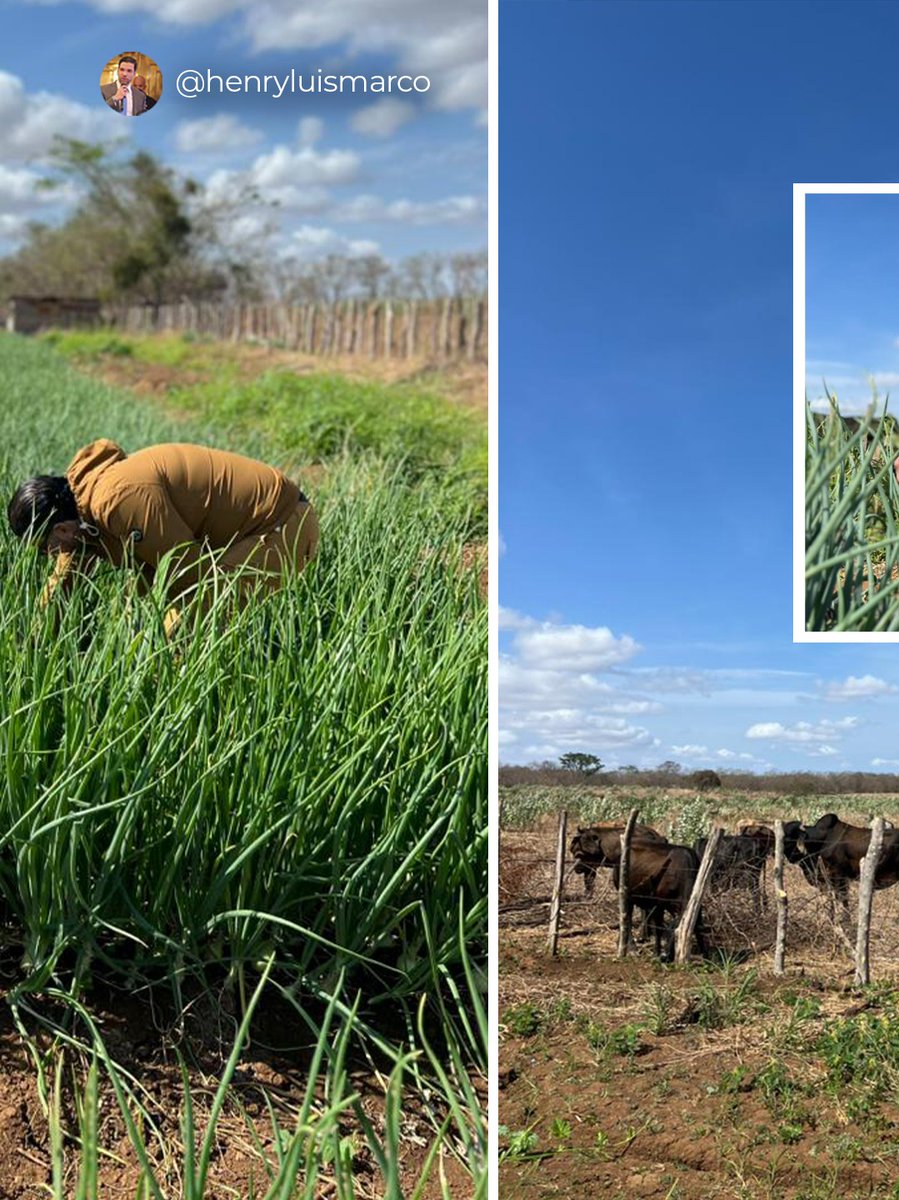 Henry Marcò Pinto🇻🇪 tweet media