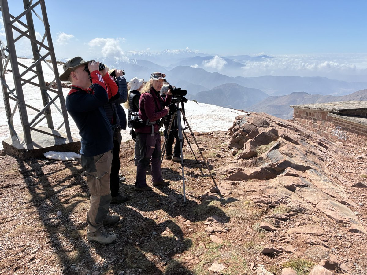 Alan Davies tweet media