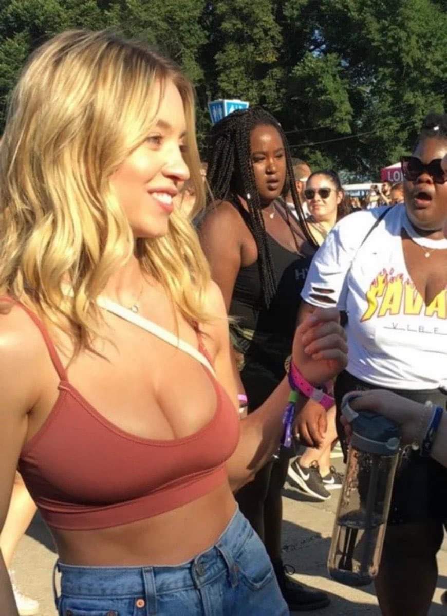 Robert Frobisher tweet media