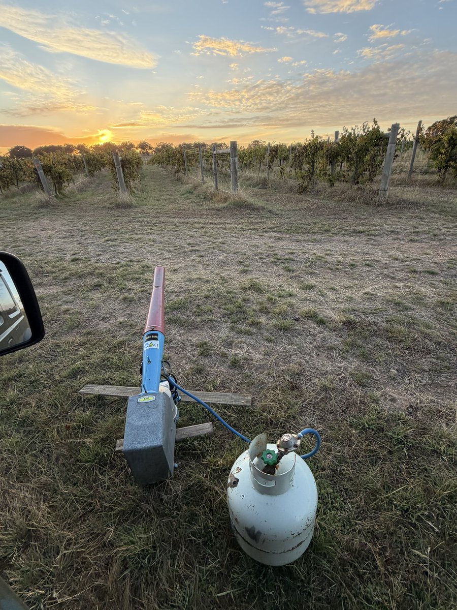 Dusty Pee tweet media