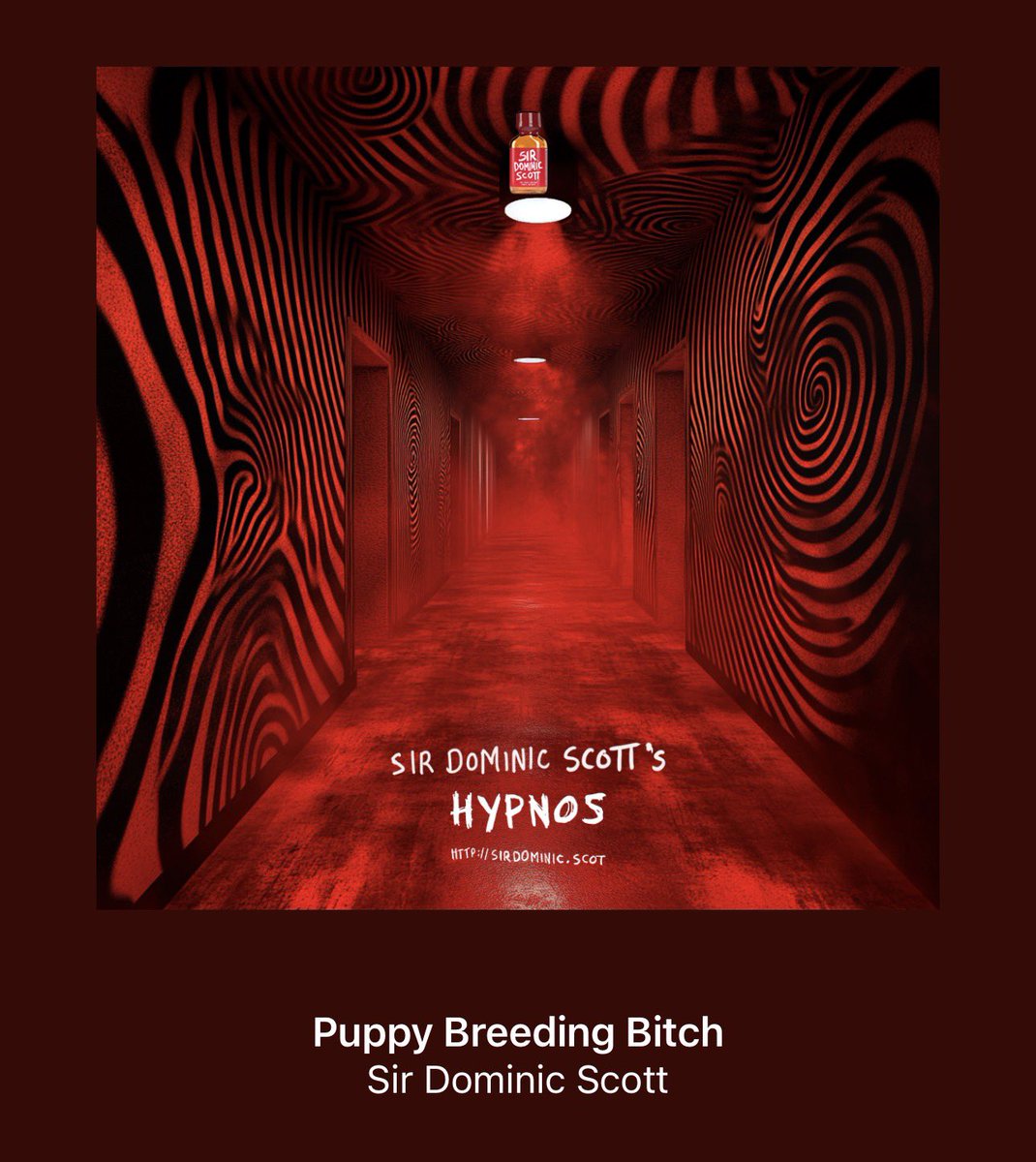 Pupper Ash tweet media