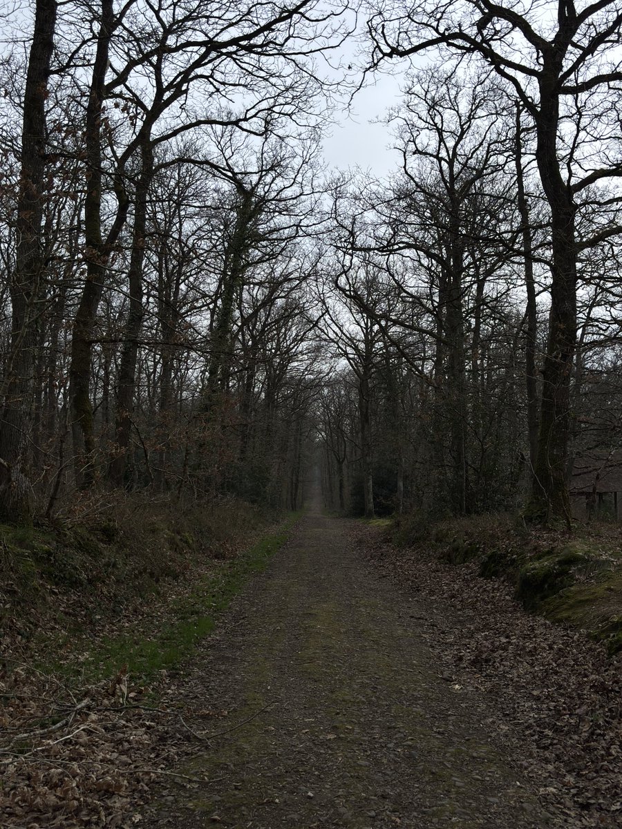 ErhelR's tweet photo. Sous petite rando, c’était bien fun https://t.co/oIMIXMnuun