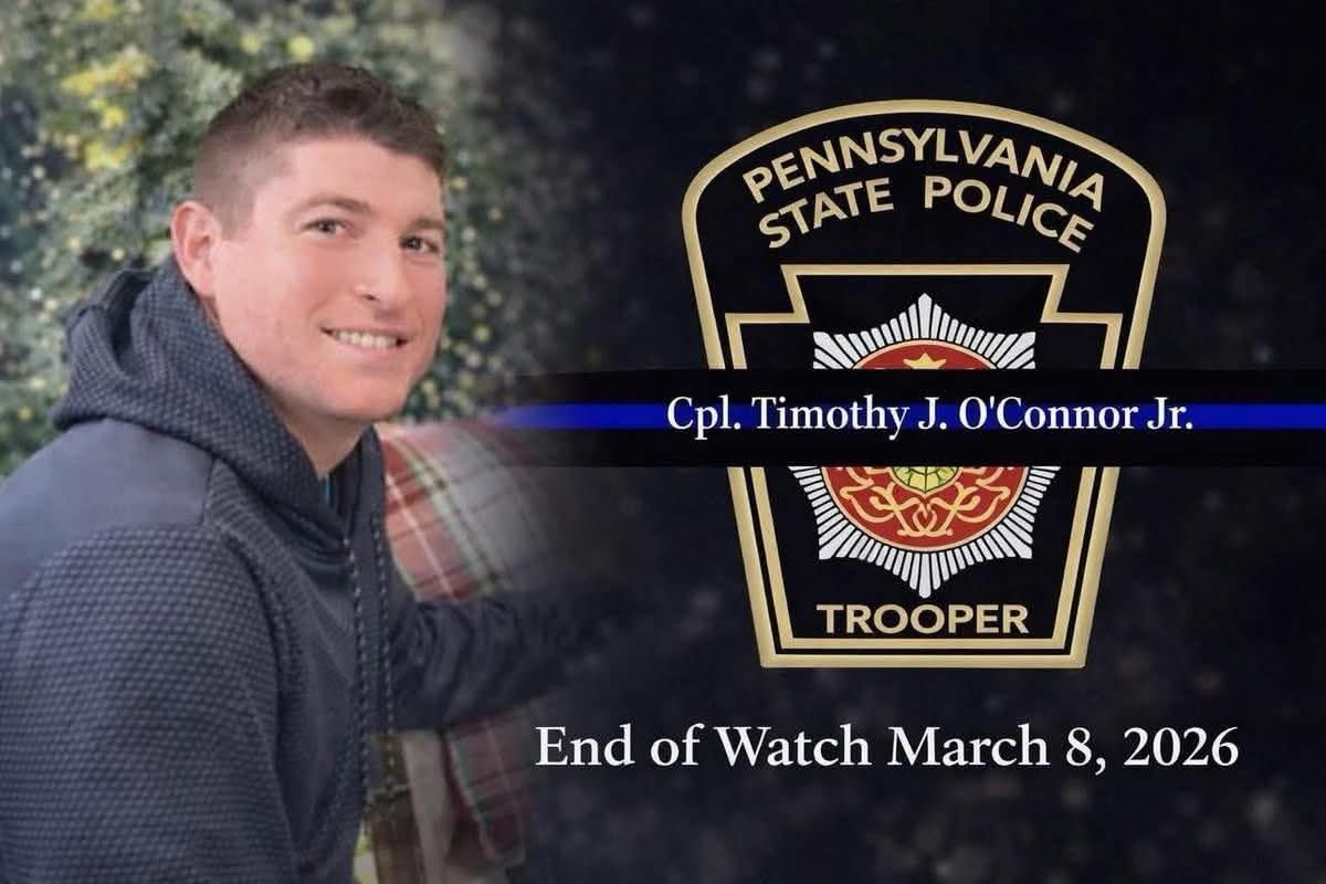 Dave Sunday tweet media