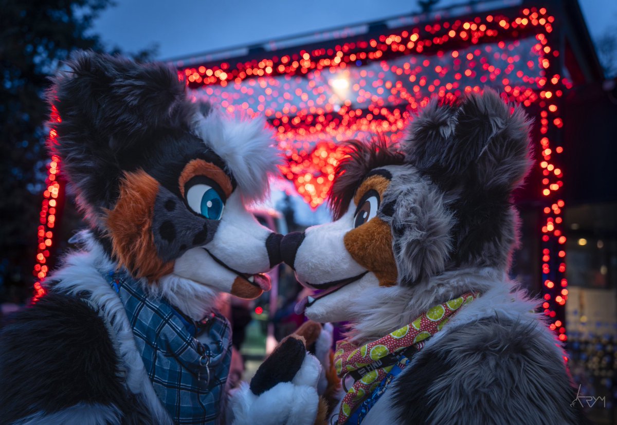 briar 🌺 tweet media