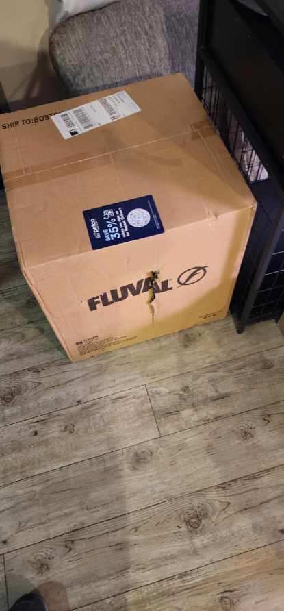 Amiee Kizior tweet media